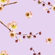 Seamless pattern with the branch of flowers N16