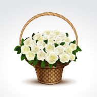 Basket of White Roses Isolated