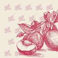 berry plum drawing