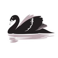 Swan N7