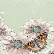 butterfly N74