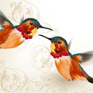 Beautiful vector humming birds with ornament