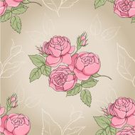 peony N10