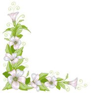 vintage floral background N32