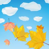 Polygonal flying leaves