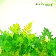 Green summer foliage vector background N3