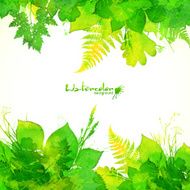 Green summer foliage vector background N4