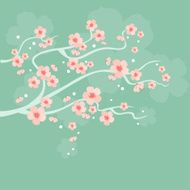 Cherry Blossoms N8
