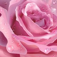 Rose Vector background for your design N2