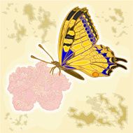 Butterfly and flower as engraving vintage vector