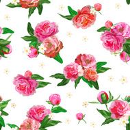 Seamless pattern with peonies Peony N2