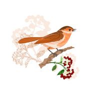 Bird on a branch with berries vector