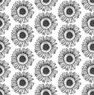 Sketch sunflower N3
