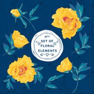 Set of floral design elements N16
