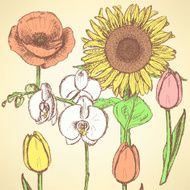 Sketch flowers vector vintage backgrounds