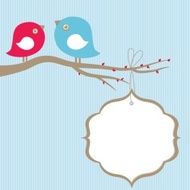 Cute beauty birds on the tree branch N2