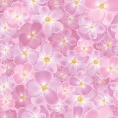 Roses background N9
