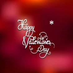 Happy Valentine's Day N205
