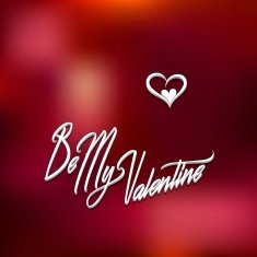 Happy Valentine's Day N206