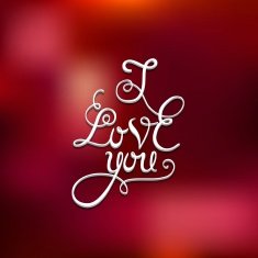 Happy Valentine's Day N208
