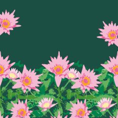 Background with pink lotus flowers and green leaves vector