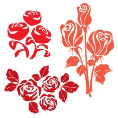 Red Roses sign two