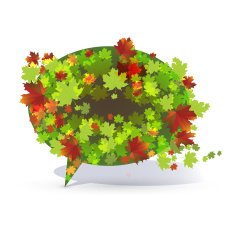 Maple Bubble-2