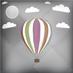 hot air balloon N61