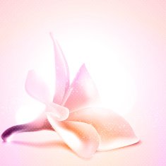 Greeting or invitation card template with magnolia flower Vector illustration