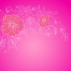 Pink sakura flowers isolated over sepia