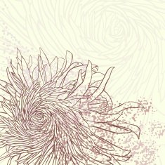 Invitation or greeting card with chrysanthemum