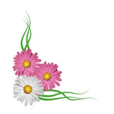 Floral corner vignette Vector illustration