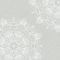 Floral ornament mandala background card N2