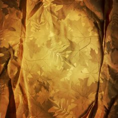 vector vintage retro background with autumn leaves