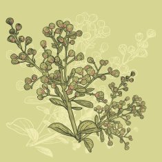 Vntage seamless pattern for retro wallpapers N3