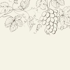 Engraving of grapes branch N2