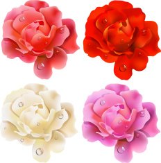 set of roses N3