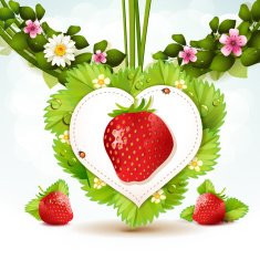 Strawberry N14