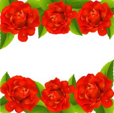 Background with roses N8