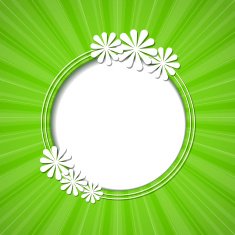 floral frame N174