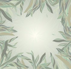 floral frame N179