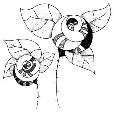 Graphic roses N9