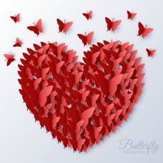 beautiful colorful butterfly heart on valintines day background