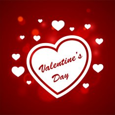 Happy Valentine's Day N212