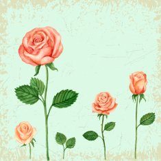 Vector Rose watercolor