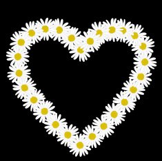 Daisy chain in the shape of a heart