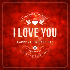 Happy valentine's day greeting card N16