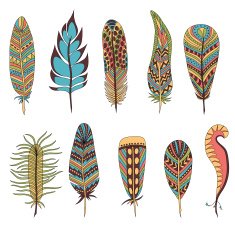 Set of ten feathers