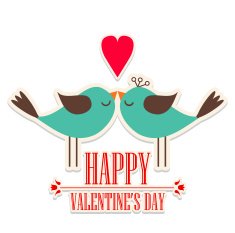 Happy Valentine's Day N216