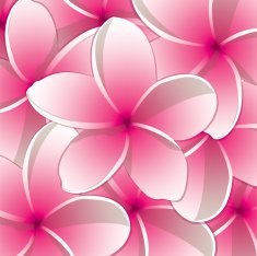 All purpose bright frangipani card in vector format N2
